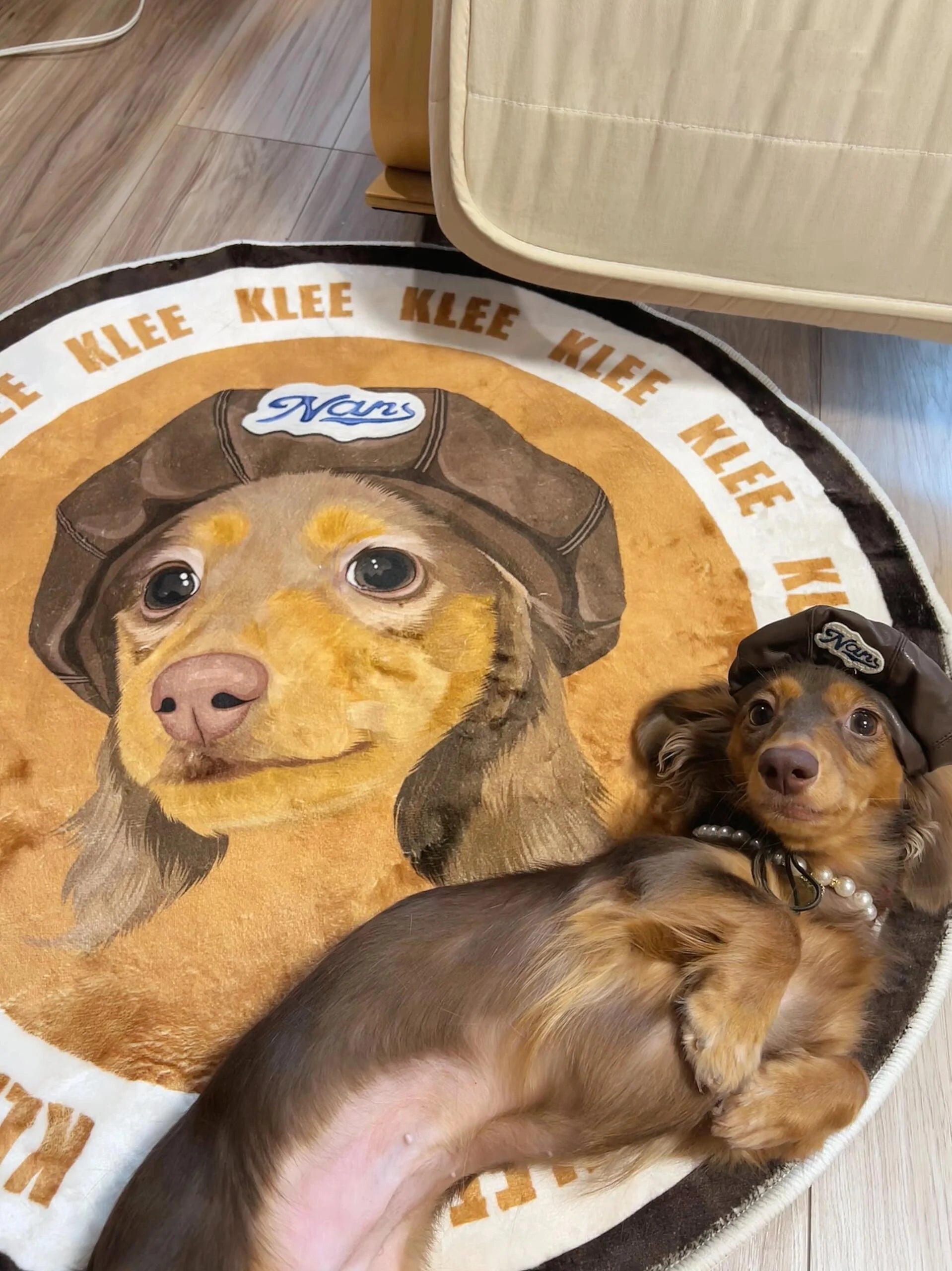 Custom Pet Rugs